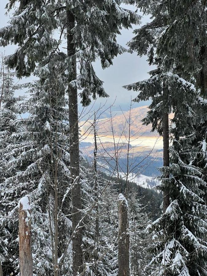 Mountain View Ceahlau Hotel Екстериор снимка